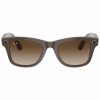 Shiny Brown/Brown
