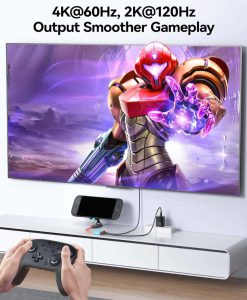 Dock Adapter For Switch 23