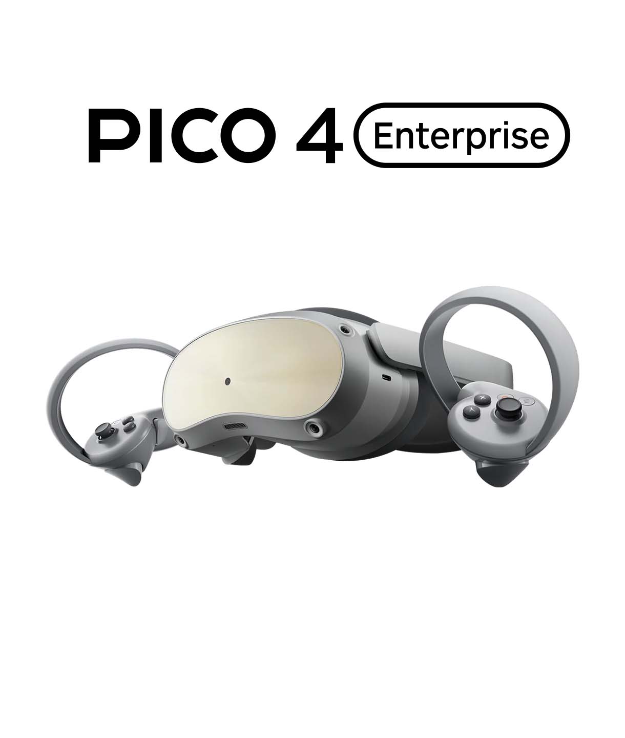 Pico 4 Enterprise 1