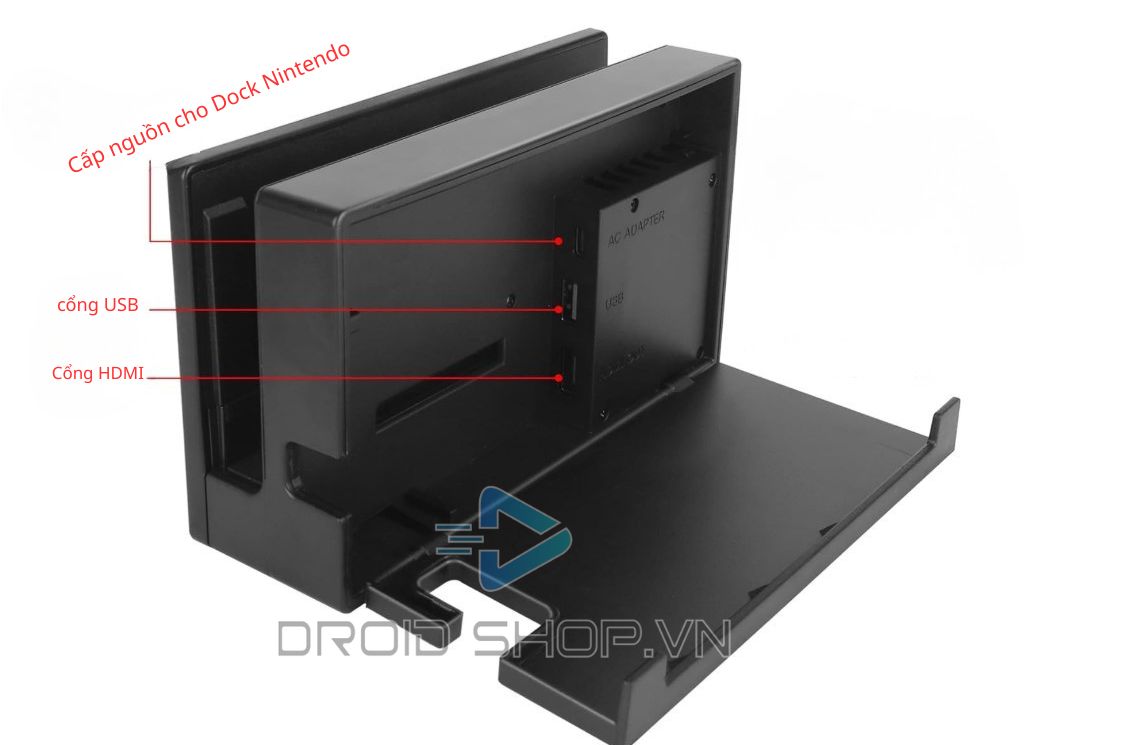 Dock Nintendo3